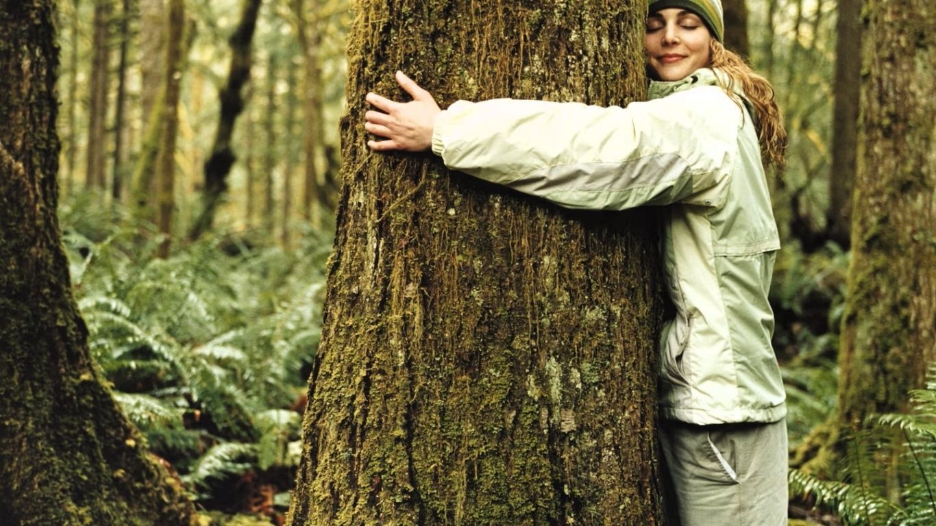 Dendroterapija - iscjeljenje kroz zagrljaj stabla